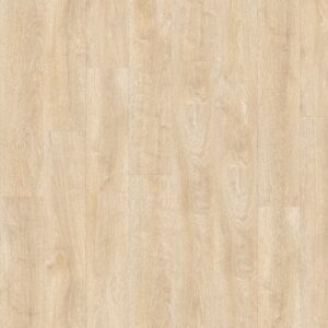 Alberta Oak 22329 topshot low res